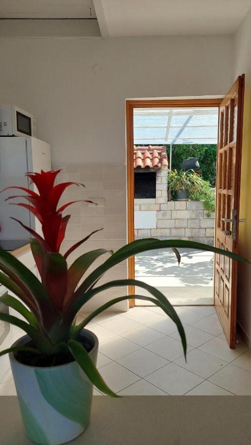 Apartmani Matea Zaton  Dış mekan fotoğraf